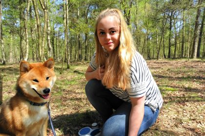 Shiba Clickertraining